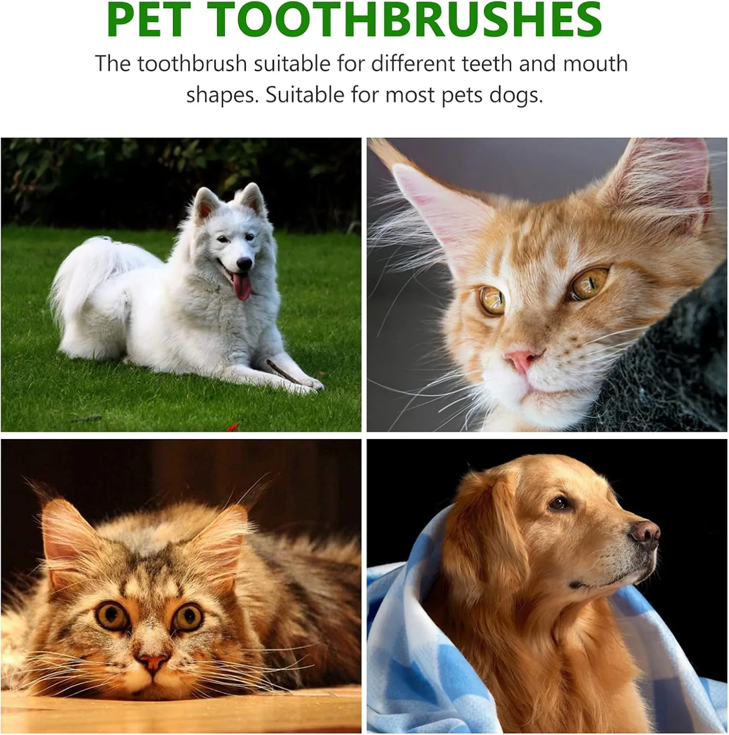 3 Sets Teeth Cleaning for Breeds: 6-Piece Dog Cat Toothbrush Kit Dual Brush Heads Extra-Long Handle Vet Recommended