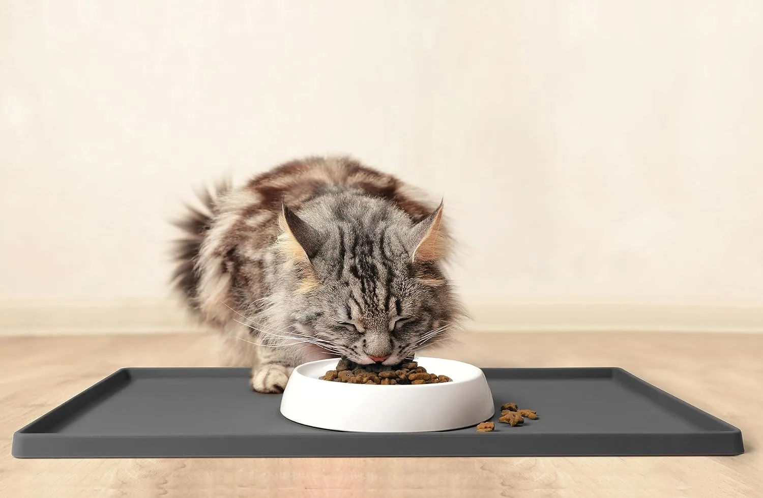 CatGuru Cat Bowls, Whisker Friendly Cat Food Bowl for Indoor Cats, Reliefs Whisker Fatigue, Wide Pet Bowl, Non Slip Pet Feeding Bowls, Shallow Kitten Dish (Set of 2, Marshmallow)