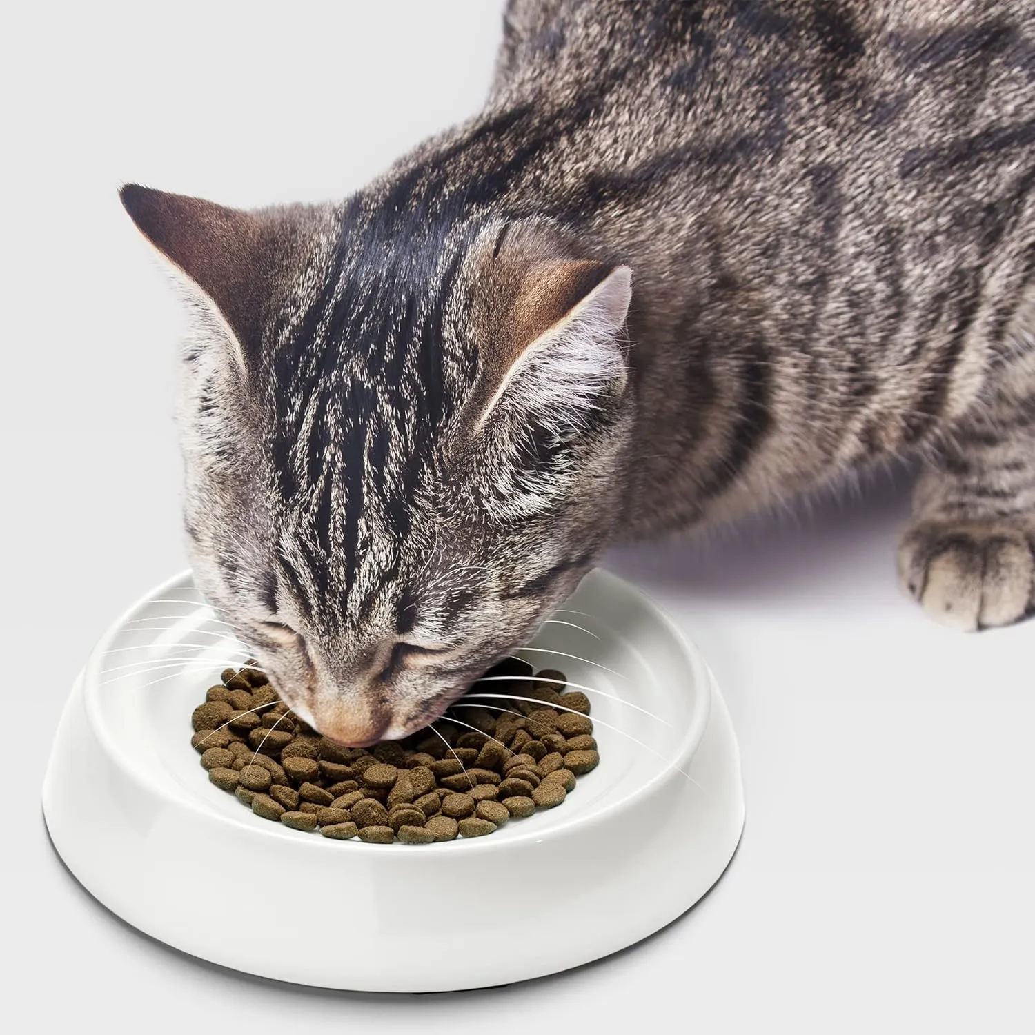 CatGuru Cat Bowls, Whisker Friendly Cat Food Bowl for Indoor Cats, Reliefs Whisker Fatigue, Wide Pet Bowl, Non Slip Pet Feeding Bowls, Shallow Kitten Dish (Set of 2, Marshmallow)