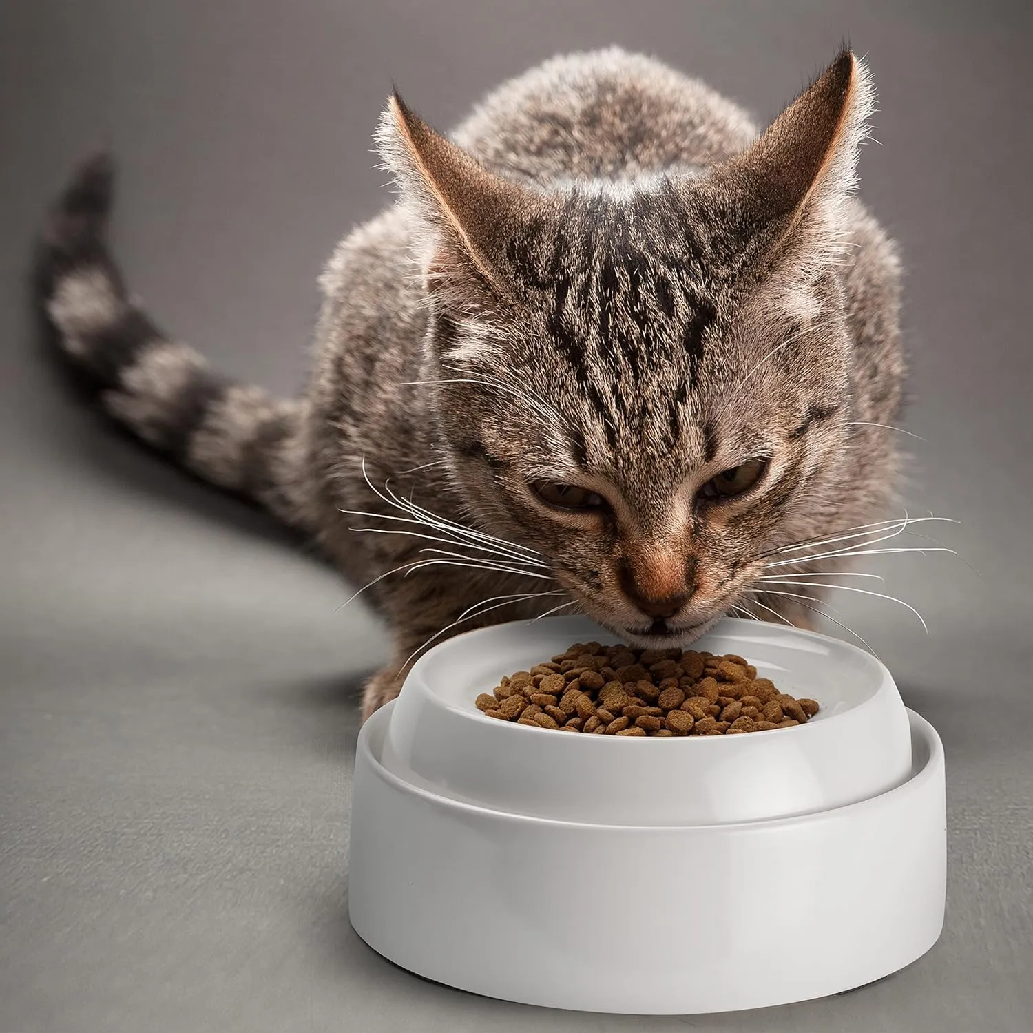 CatGuru Cat Bowls, Whisker Friendly Cat Food Bowl for Indoor Cats, Reliefs Whisker Fatigue, Wide Pet Bowl, Non Slip Pet Feeding Bowls, Shallow Kitten Dish (Set of 2, Marshmallow)