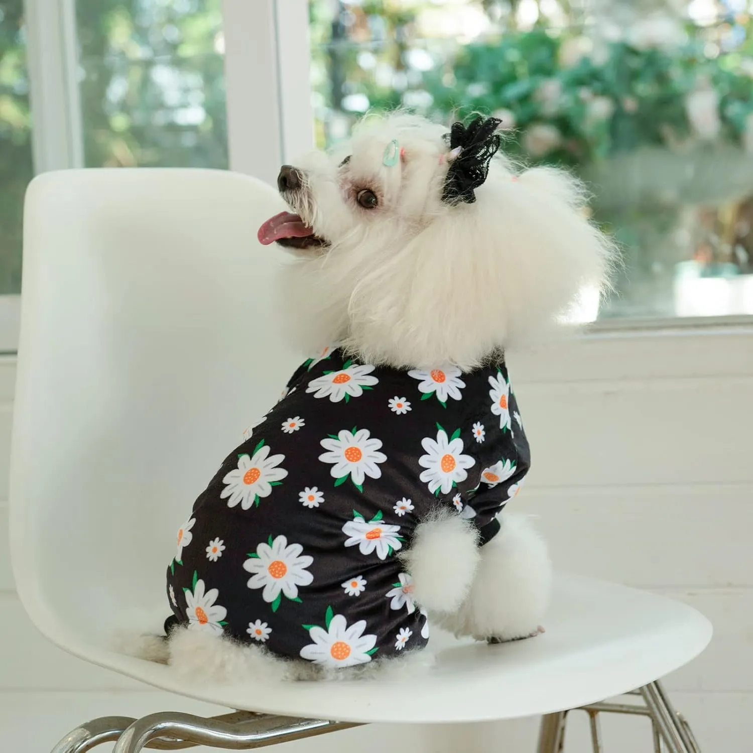 CuteBone Small Dogs Outfit Soft Puppy Onesies Pjs Dog Pajamas Pet Coat Cat Apparel Comfy Doggie Jumpsuit Bodysuit for All Seasons P221XS