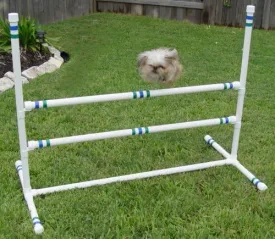 Dog Agility Single Double Bar Jump