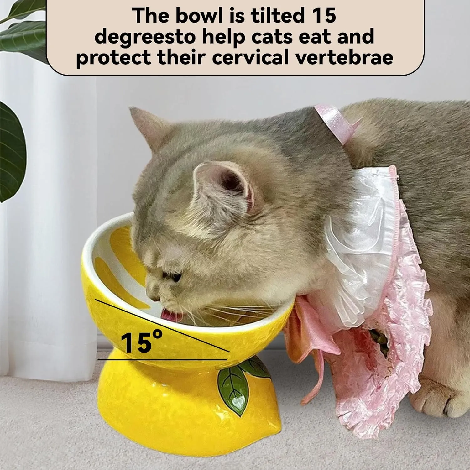 Hamiledyi Ceramic Raised Cat Bowl Anti Vomiting Elevated Tilted Cat Food & Water Bowls 2PCS Pet Feeder Dish for Indoor Kitty and Small Dogs(Lemons & Pitaya).