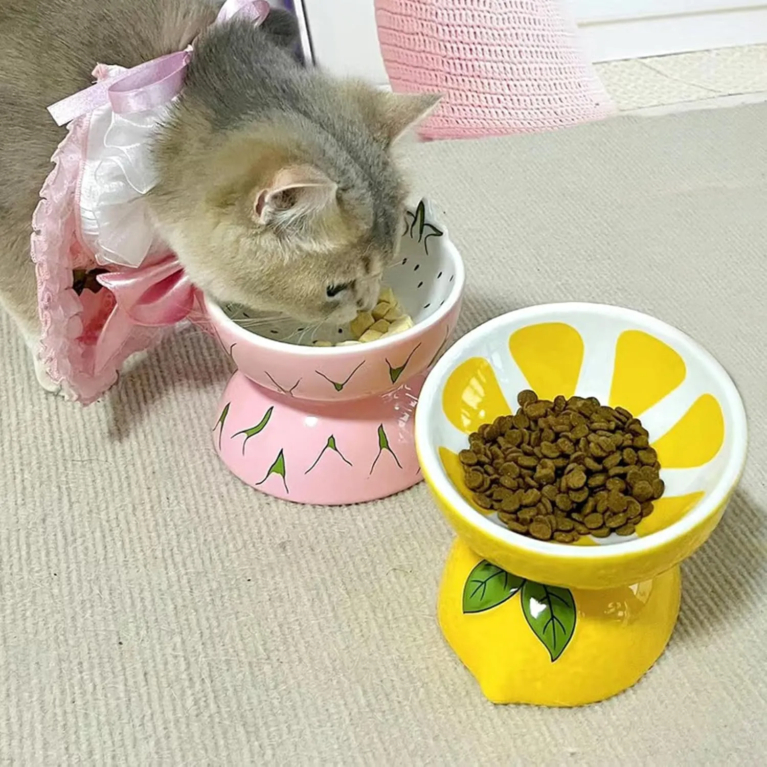 Hamiledyi Ceramic Raised Cat Bowl Anti Vomiting Elevated Tilted Cat Food & Water Bowls 2PCS Pet Feeder Dish for Indoor Kitty and Small Dogs(Lemons & Pitaya).