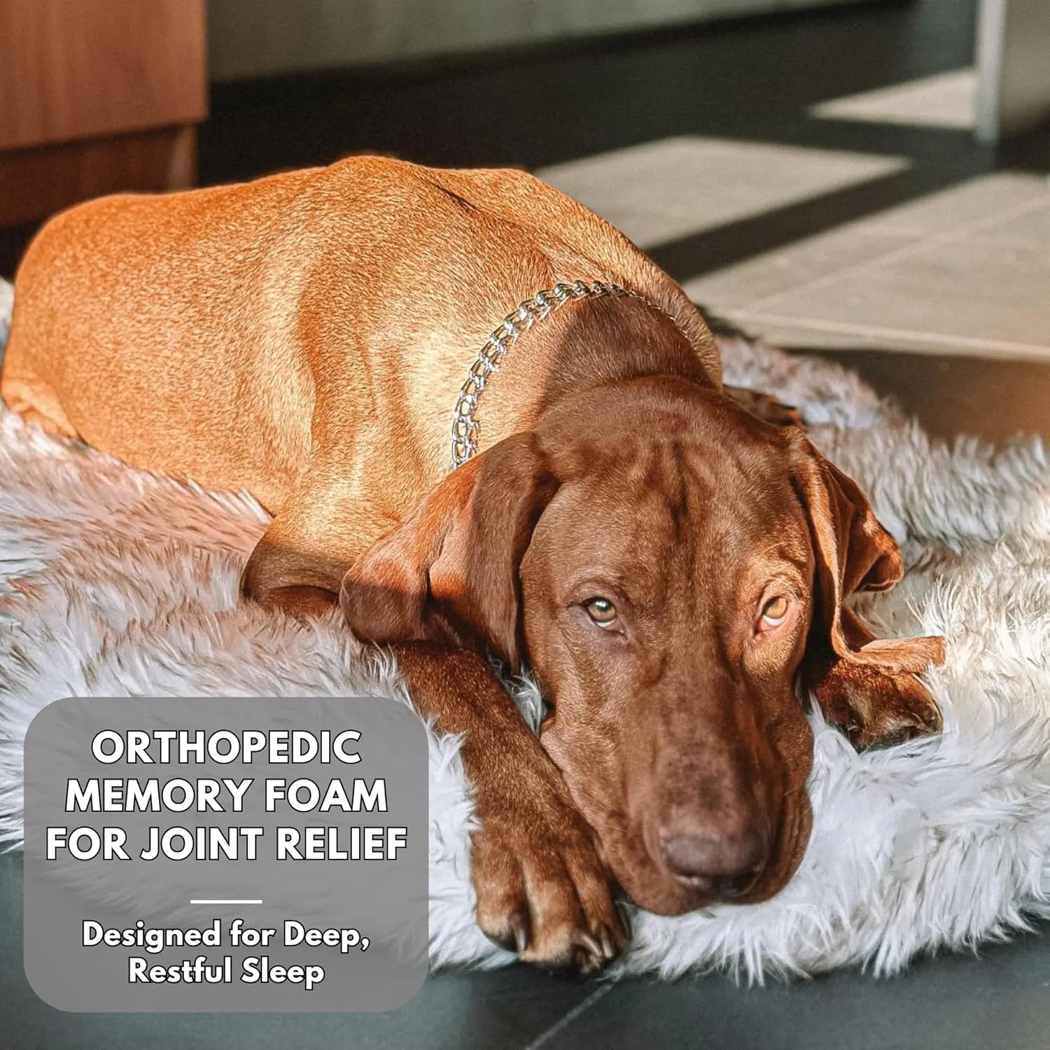 IHAPPYDOG Luxury Faux Fur Orthopedic Dog Bed, Memory Foam Dog Bed for Small, Medium, Large and XL Pets, Fluffy Pet Bed with Waterproof and Washable Cover, White, Large/Extra Large 50x30