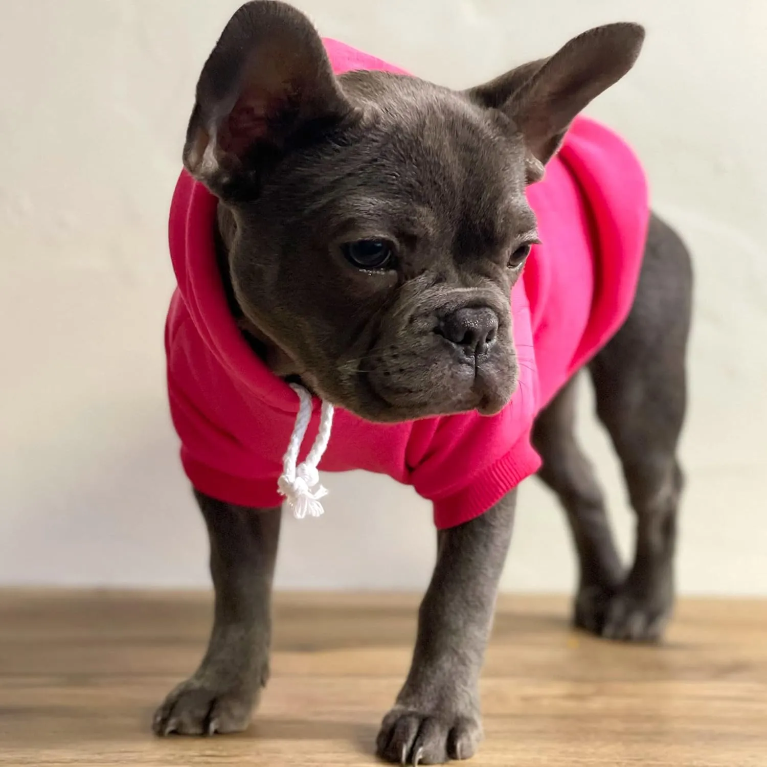 Juneteenth Dog Hoodie Fleece Lined Pullover Sweatshirt with Leash Hole (Grey, X-Small 751)