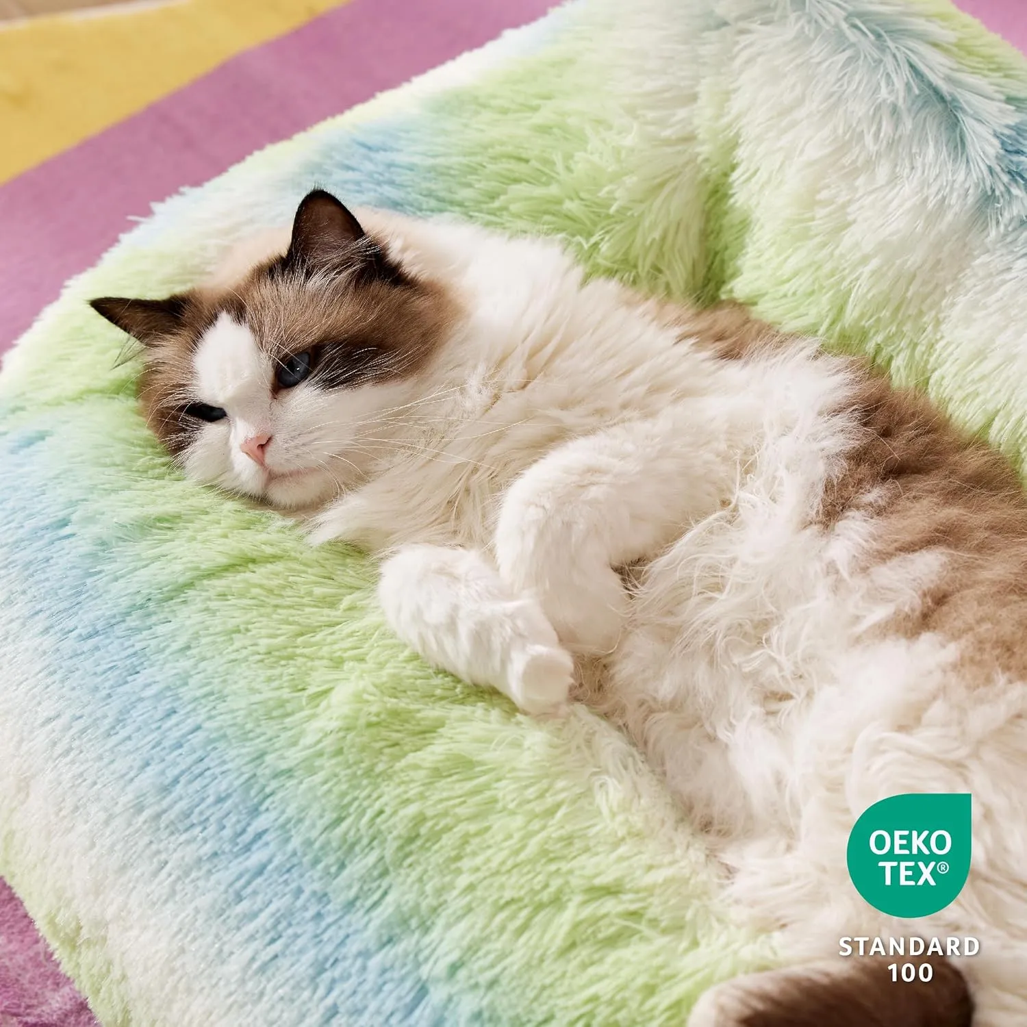 Lesure Cute Cat Bed Indoor - Furry Cat Bed Large, Washable Calming Small Dog Beds for Puppy with Fashion Design, 26x21x9inches, Green Stripe