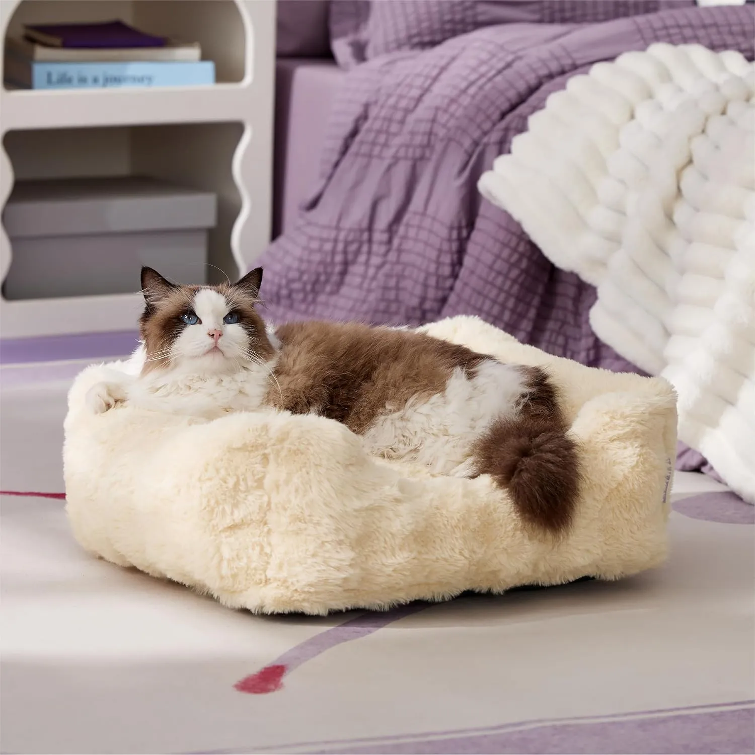 Lesure Fluffy Dog Beds for Puppy&Kitten- Orthopedic Rectangle Calming Pet Sofa,Fluffy Plush Bubble Bolster Cat Bed with Removable Washable Cover and Nonskid Bottom,20x19x6inches,Beige