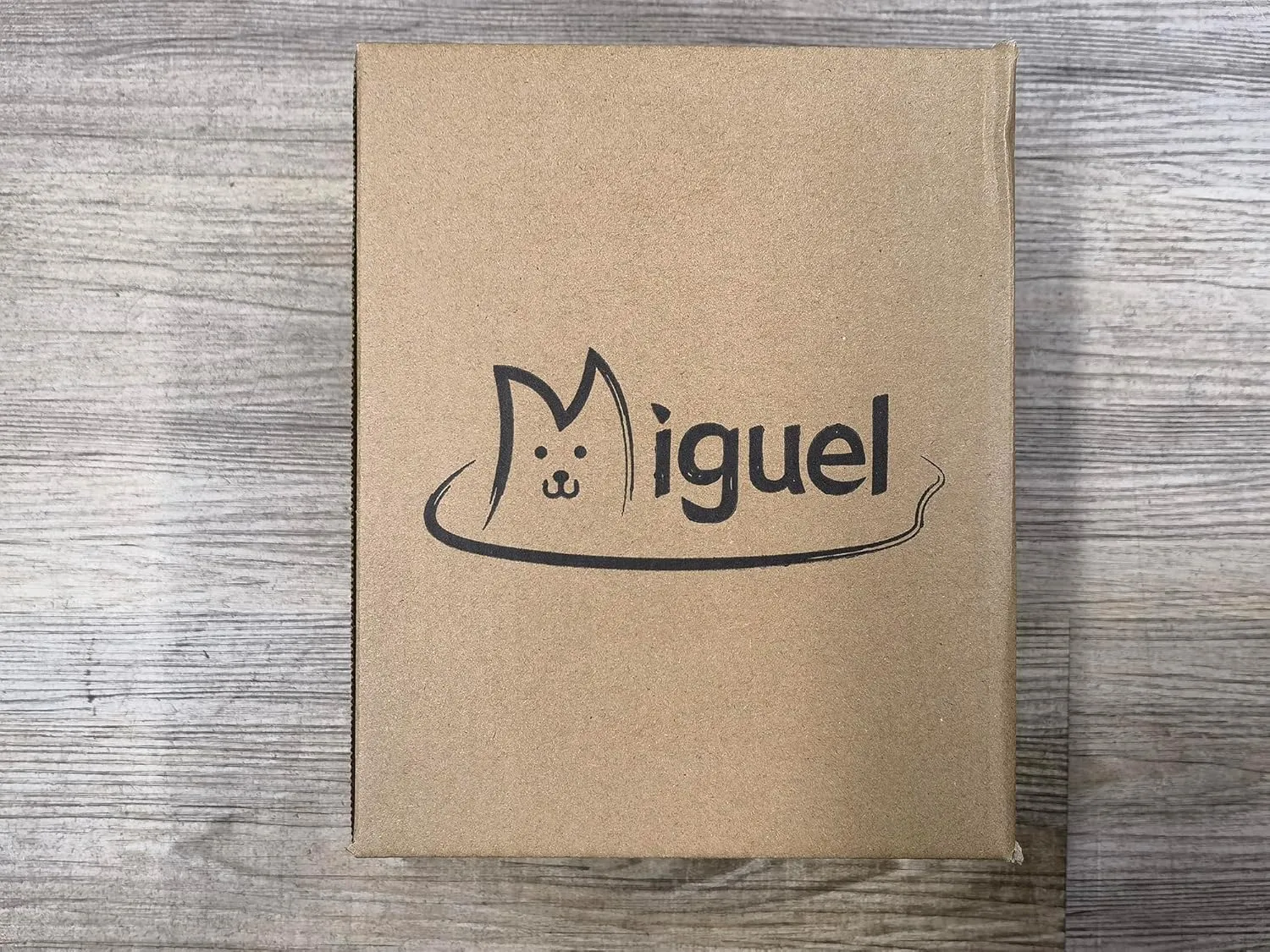 Miguel Washable Cat Beds for Indoor Cats with Removable Cushion/Pillow, Easy to Wash Small Dog Bed with Side, Large Rectangle Kitten Bed Cuddle Puppy Bed with Anti-Slip Bottom, Dark Gray 20 Inch