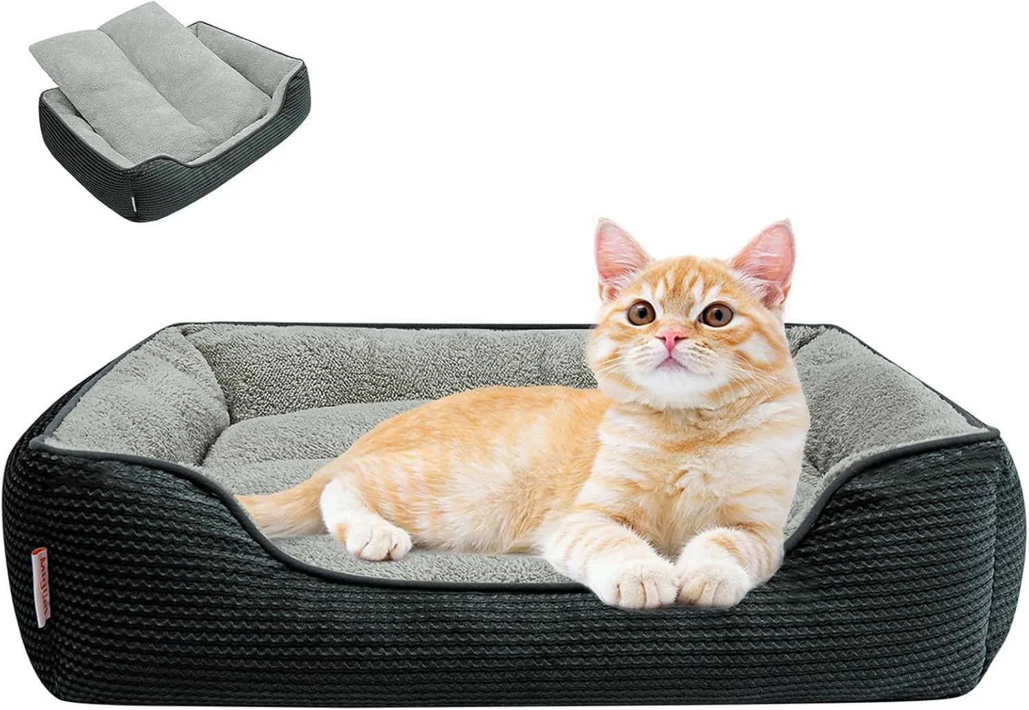 Miguel Washable Cat Beds for Indoor Cats with Removable Cushion/Pillow, Easy to Wash Small Dog Bed with Side, Large Rectangle Kitten Bed Cuddle Puppy Bed with Anti-Slip Bottom, Dark Gray 20 Inch