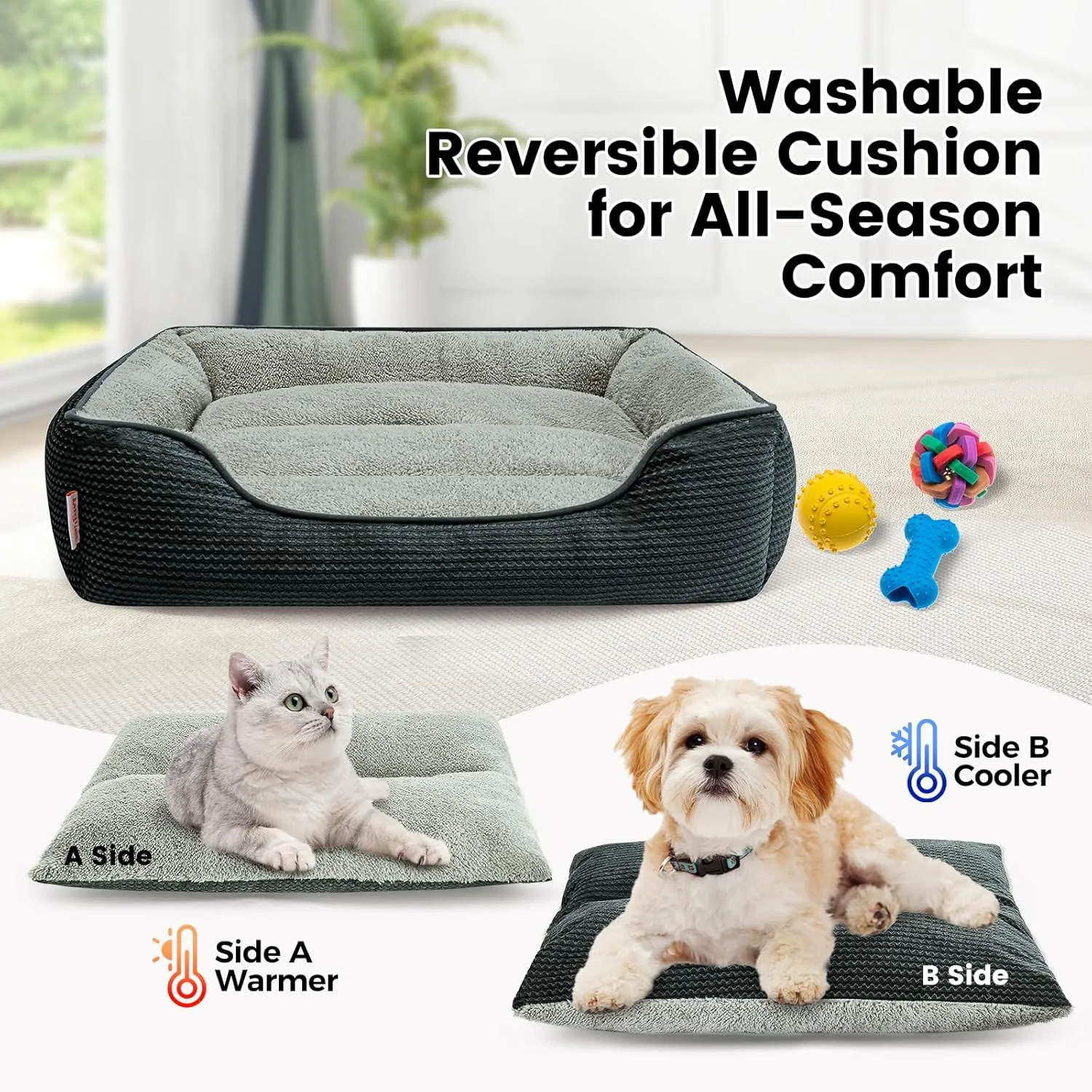 Miguel Washable Cat Beds for Indoor Cats with Removable Cushion/Pillow, Easy to Wash Small Dog Bed with Side, Large Rectangle Kitten Bed Cuddle Puppy Bed with Anti-Slip Bottom, Dark Gray 20 Inch