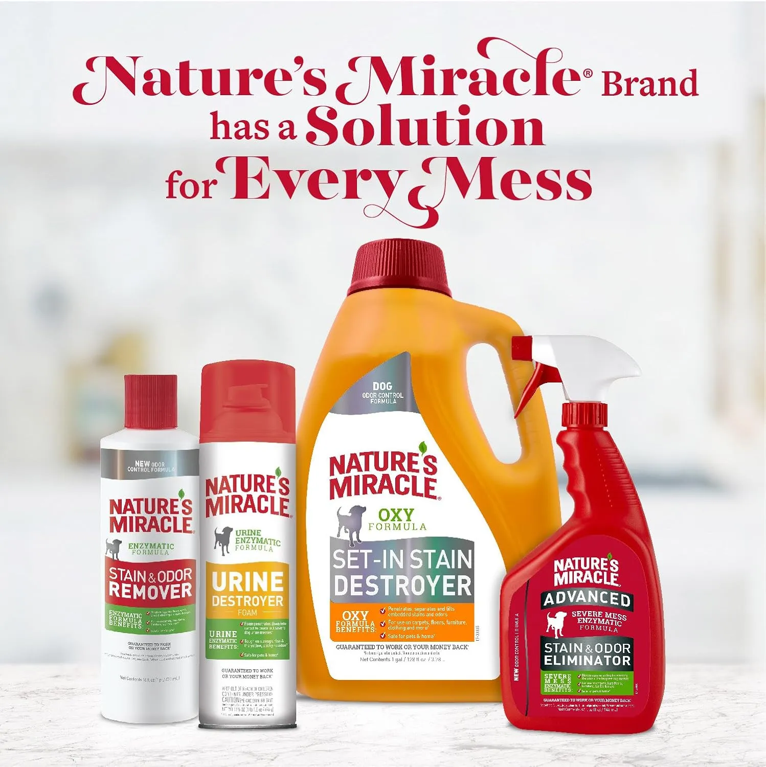 Nature's Miracle P-98148 Dog Urine Destroyer , White, 128 oz