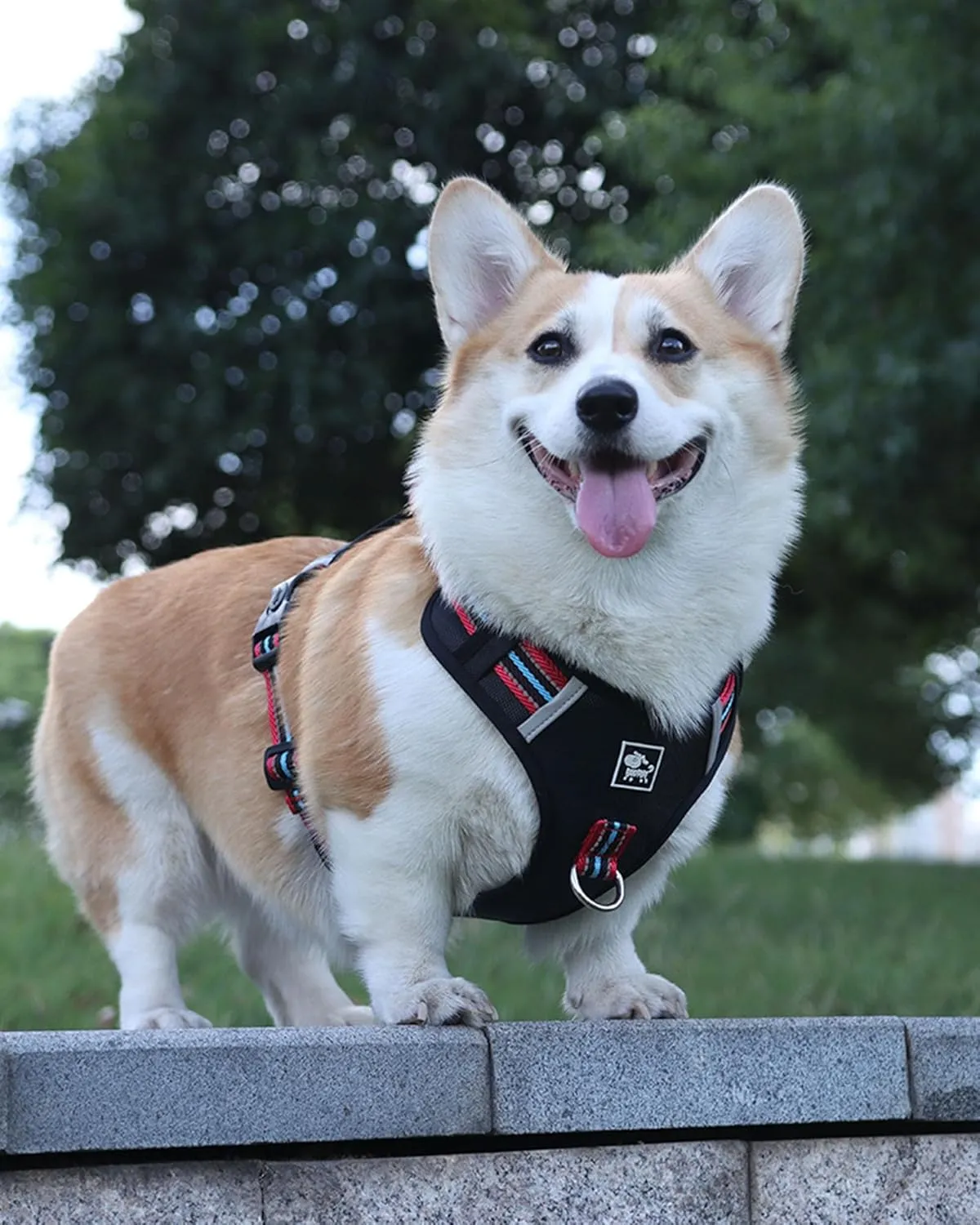 No Pull Dog Harness with Easy Control Soft Handle for Small Medium Large Dogs,Reflective Adjustable Puppy Harness,Heavy Duty Girl Boy Pet Vest with Safety Buckle (Black, XS)