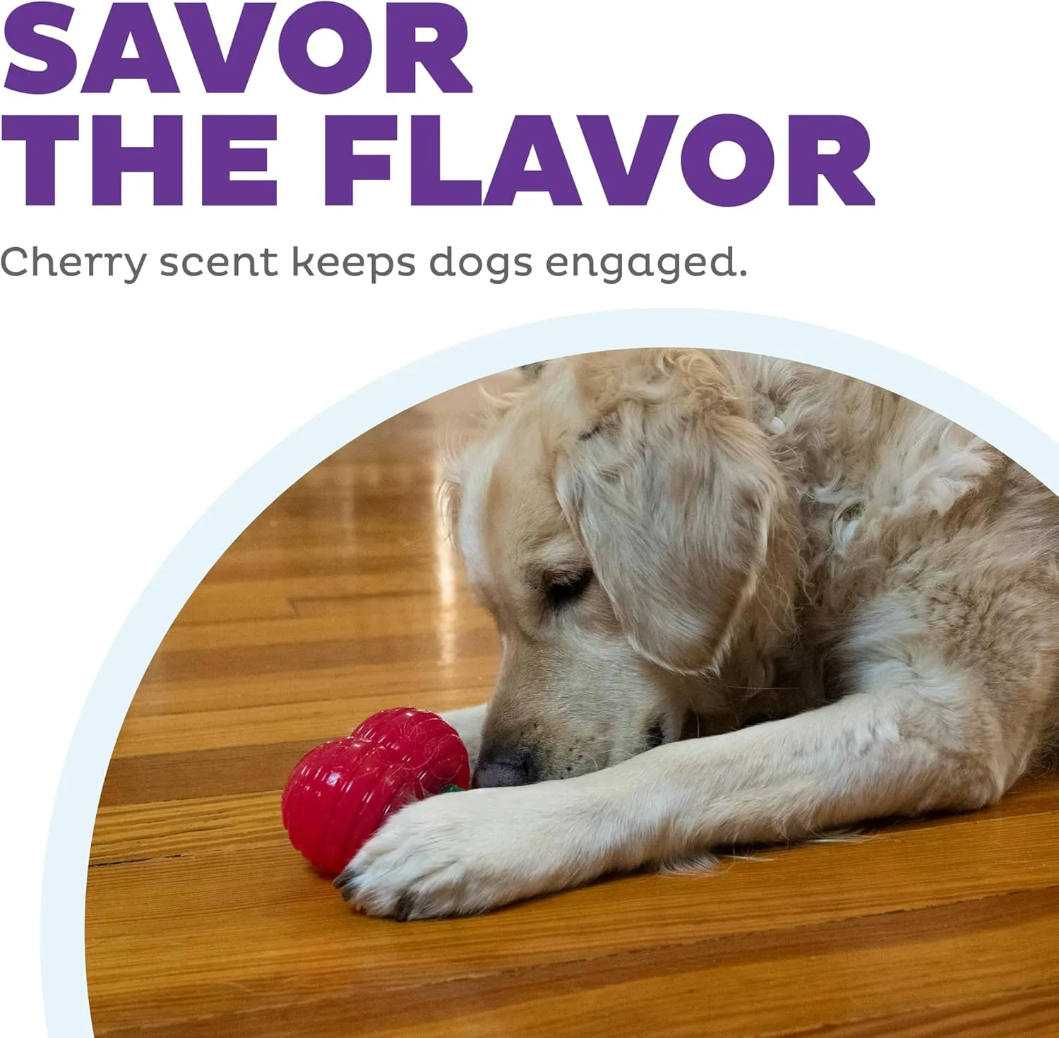 Outward Hound Gummiez Cherries 2-in-1 Dog Chew Toy and Treat Stuffer, Red