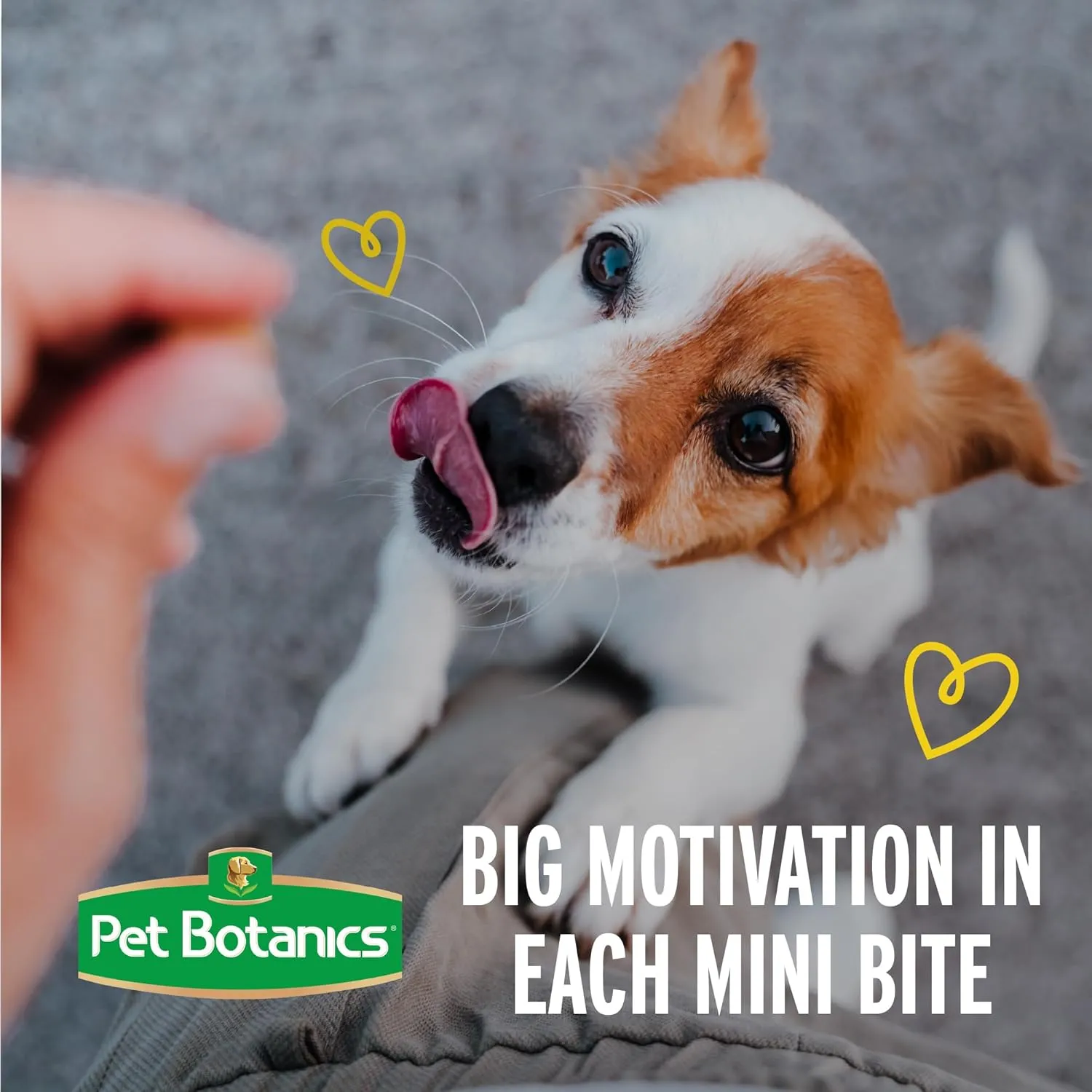 Pet Botanics 10 Oz. Pouch Training Reward Mini Soft & Chewy, Beef Flavor, with 500 Treats Per Bag, The Choice of Top Trainers