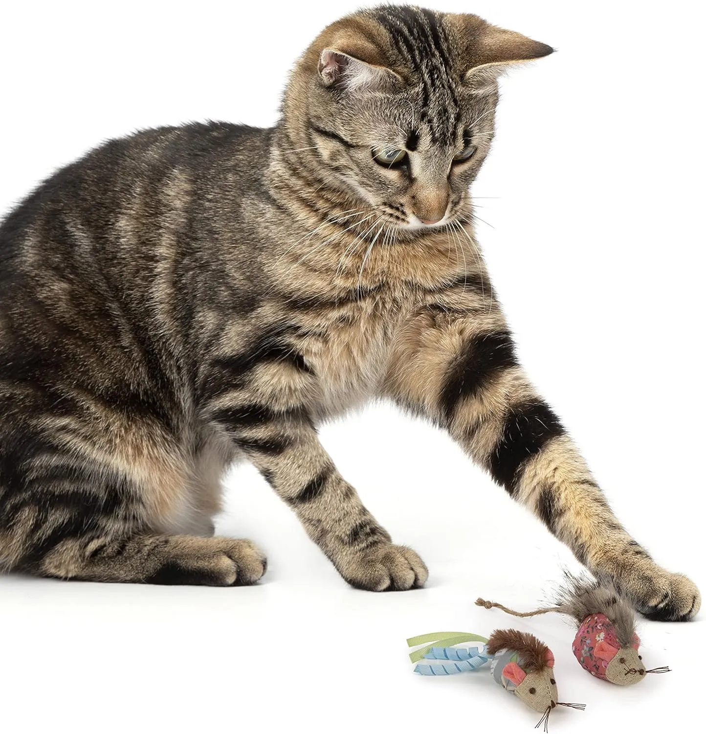 Petlinks (2 Count) HappyNip Mohawk Mice Cat Toys, Contains Silvervine & Catnip - Blue/Pink, 2 Count