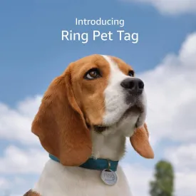Ring Pet Tag | Easy-to-use tag with QR code | Real-time scan alerts | Shareable Pet Profile | No subscription or fees | 2-pack