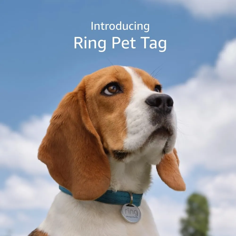 Ring Pet Tag | Easy-to-use tag with QR code | Real-time scan alerts | Shareable Pet Profile | No subscription or fees | 2-pack