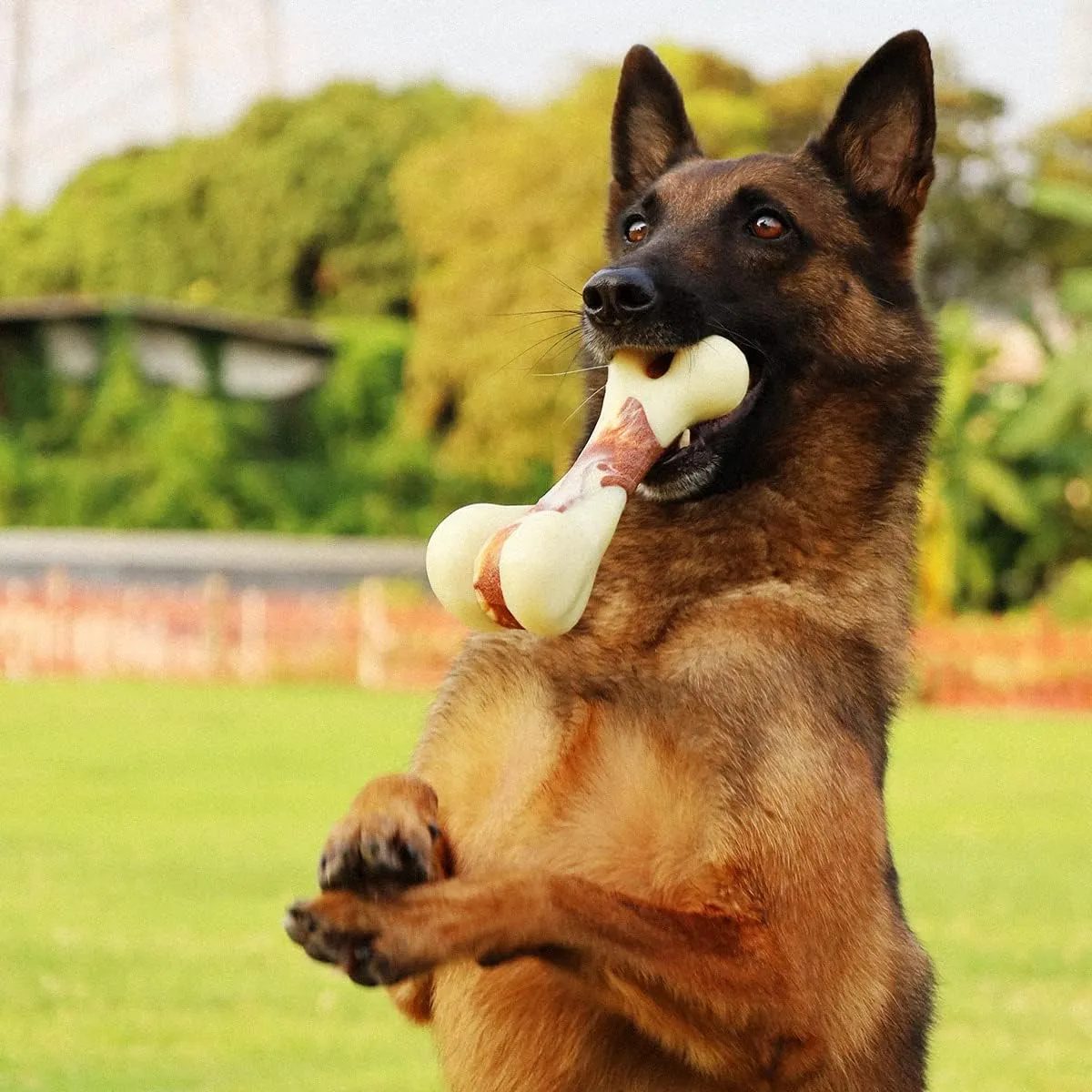 Tikaton Dog Chew Toys for Aggressive Chewers, Peanut Butter Flavor Durable Dog Teething Chew Toys Bones for Large/Medium/Small Puppies