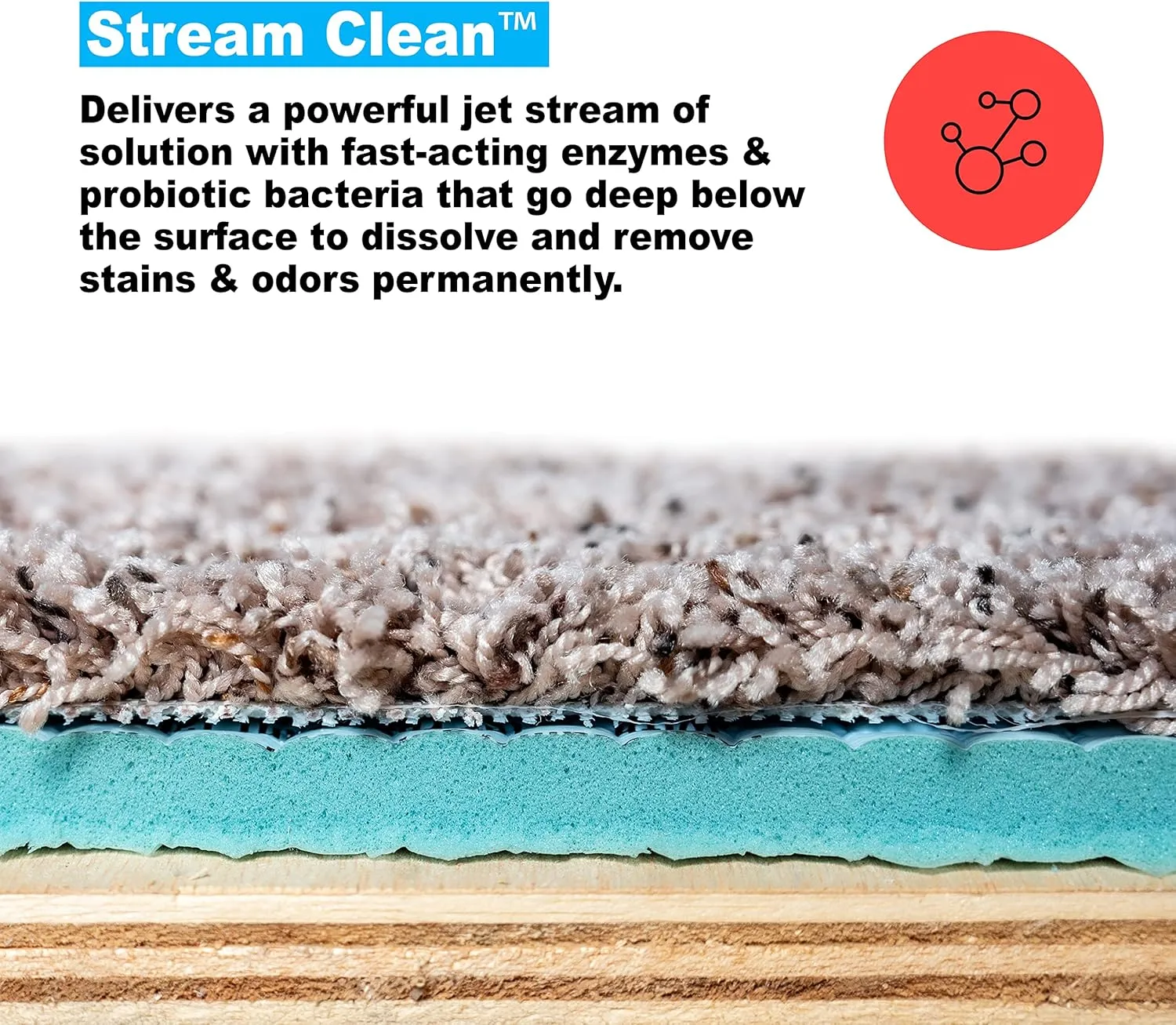 Urine Stream Clean, Heavy Duty Carpet Stain & Odor Eliminator Deep Cleans with Fast Acting Natural Enzymes   Probiotics Eliminating Stains and Odor Permanently, No Scrubbing, 18 oz. (1pack)