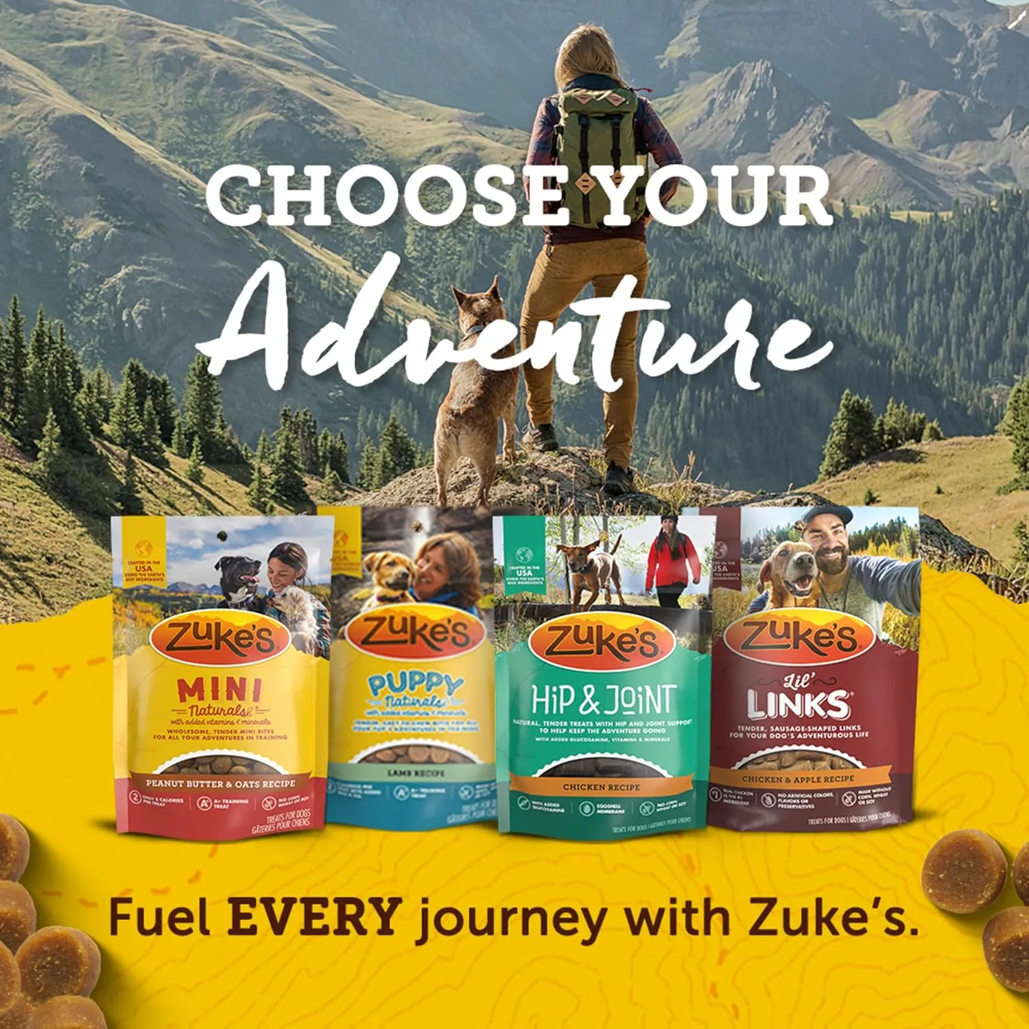 Zukes Mini Naturals Dog Training Treats for Dogs of All the Sizes, Pet Treats made with Real Salmon - 10 oz. Pouch