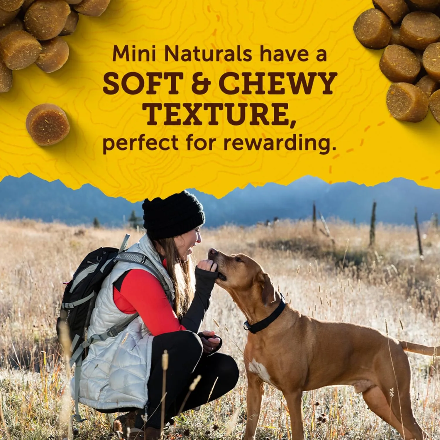 Zukes Mini Naturals Dog Training Treats for Dogs of All the Sizes, Pet Treats made with Real Salmon - 10 oz. Pouch